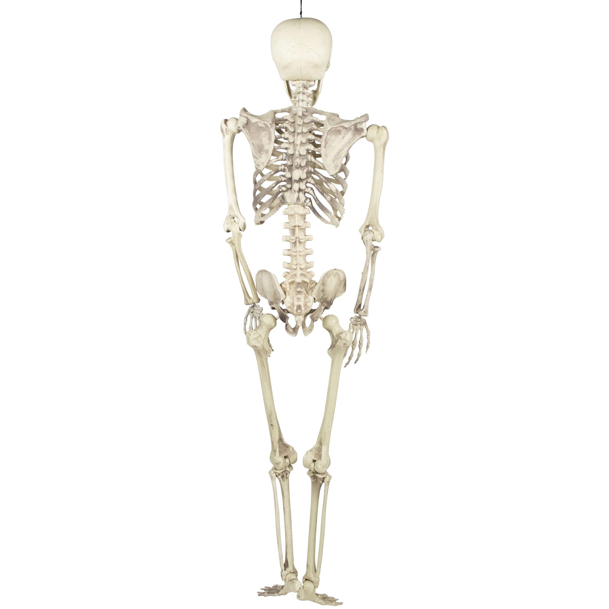 5' Spooky Life Size Skeleton Indoor/Outdoor Halloween Decoration