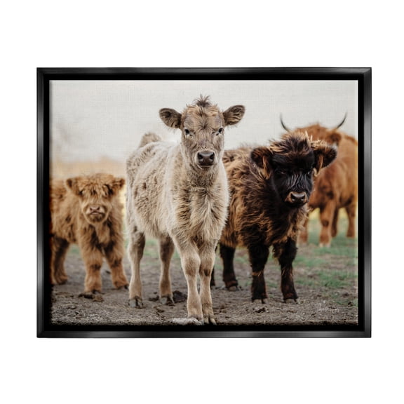 Stupell Industries Baby Calves on Farm Animals & Insects Photography Black Floater Framed Art Print Wall Art, 21 x 17