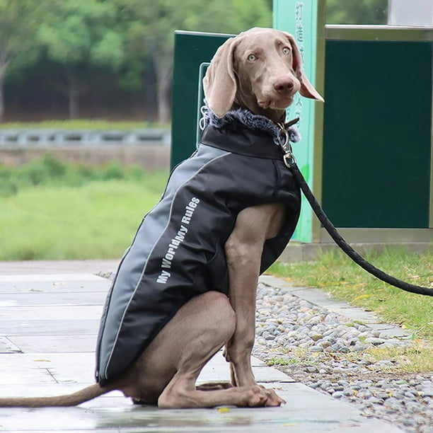 Dog chore outlet coat