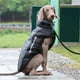 thumbnail image 4 of Abrigo para perros resistente al viento, impermeable, reflectante, chaleco acolchado para perros 6XL, 4 of 9