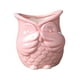 thumbnail image 3 of Maceta de cerámica con forma de búho, mini macetero para bonsái, ideal como regalo de cumpleaños Sin olor Rosa, 3 of 9