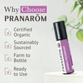 thumbnail image 6 of Pranarom Herbal Deodorant Roll-On 8ml Organic Lavender, Thyme & Vetiver Essential Oils, Natural Odor Neutralizer, 6 of 7