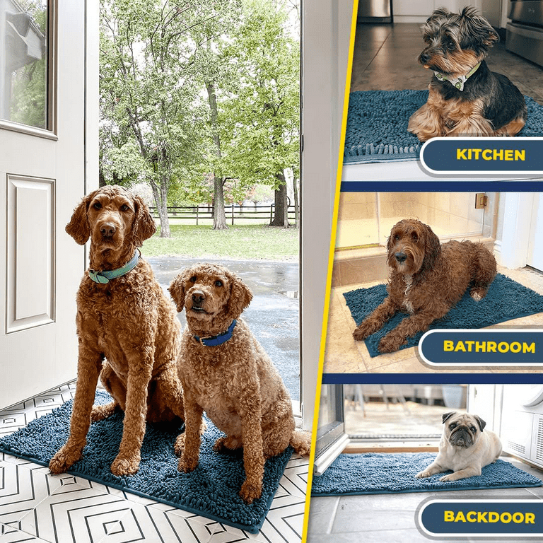 Mud Trapper Absorbent Chenille Door Mat, Non Slip Backing Muddy Dog  Washable Microfiber Entryway Rug and Bath Mat,Super Soft Pet Rug for Entry  Kitchen