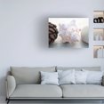 thumbnail image 3 of Elena Ray 'Shell Portrait III' Canvas Art, 3 of 3