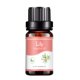 thumbnail image 1 of Price Drop Aromatherapy Water Soluble Oil Aromatherapy Suitable For Humidifier 10ml, 1 of 6