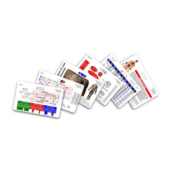 Mini Paramedic 6 Card Horizontal Badge Reference Set