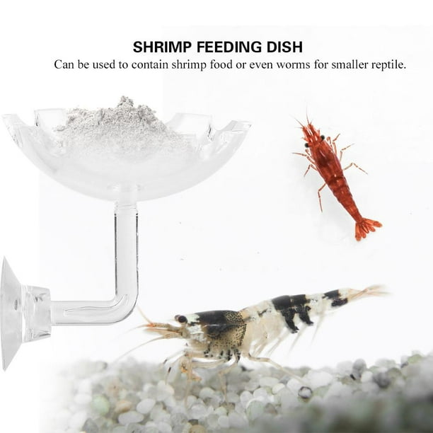 FAGINEY Acrylic Aquarium Shrimp Feeding Dish Bowl Tray Water Food Dish  Feeder Bowl, Shrimp Feeder,Shrimp Feeding Dish 