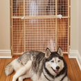 thumbnail image 2 of MidWest Homes for Pets 44 Inch Tall Wood and Wire Mesh Adjustable Dog Pet Gate, 2 of 5