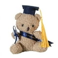 thumbnail image 3 of Peluche de oso de peluche, regalo de graduación para graduados de 2024, fotografía de graduación, oso de peluche, oso de dibujos animados, 3 of 5