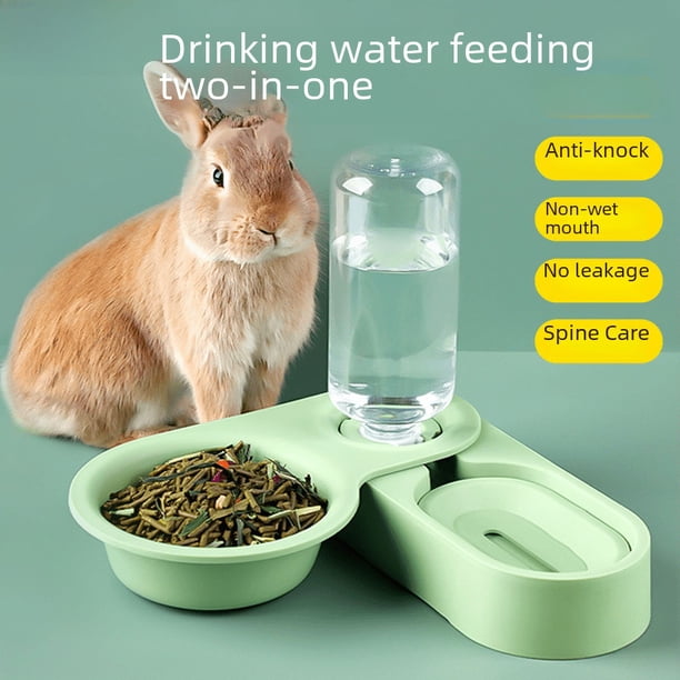 Bebedero para conejos, cuenco para comida, dos en uno, comedero automático para cerdos holandeses, caja para comida, cuenco, suministros