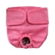 thumbnail image 1 of Pantalones fisiológicos para mascotas Pañales de reciclaje de reciclaje pegatina lavable Pantalones cortos Pantías sanitarias Absorbent Solicitaciones Suministros de seguridad Suministros Pink S Dido Hogar, 1 of 6