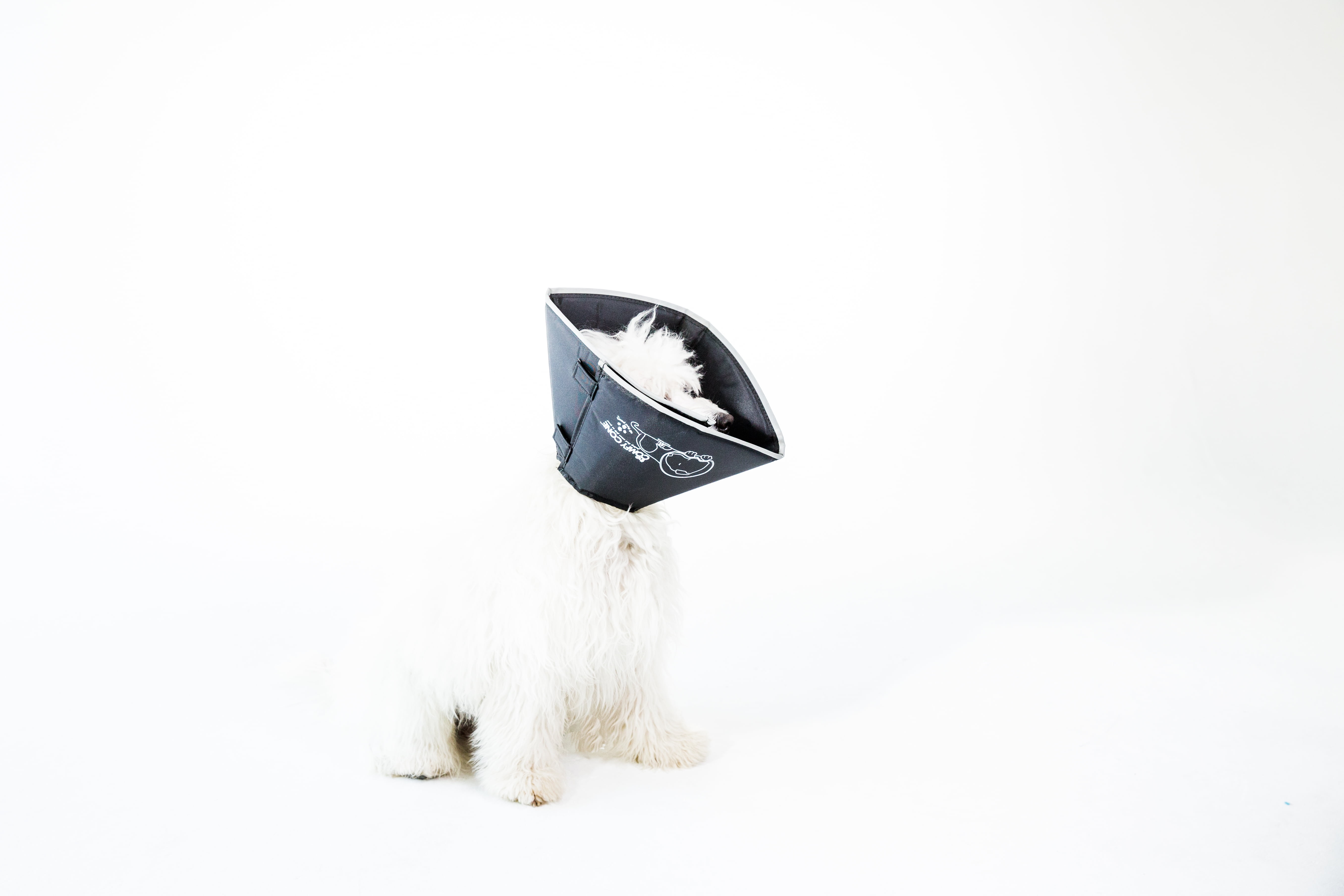 All Four Paws Black Comfy Cone Dog ECollar Dog First Aid Recovery