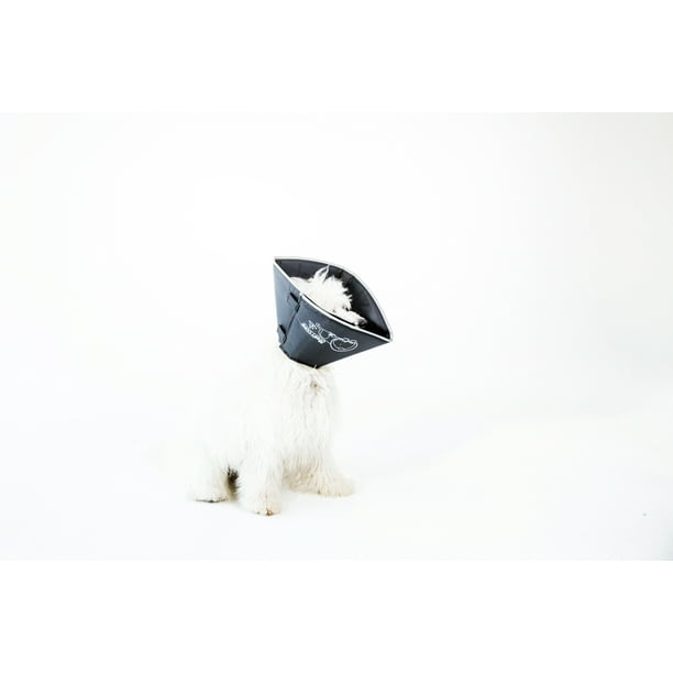 All Four Paws Black Comfy Cone Dog ECollar Dog First Aid Recovery