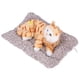 thumbnail image 1 of Gato de peluche, diseño de simulación de adorno de gato, juguete de peluche para gato, tecnología avanzada, 1 of 12
