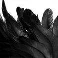 thumbnail image 5 of 15.7in Natural Feathers Wreath Front Door Black Feather Wreath Spooky Scene Party Favors for Porch Halloween Decoration, 5 of 5