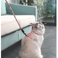 thumbnail image 3 of RV Arnés de correa para gato Arnés ajustable para gato y correa de cuerda para caminar con seguridad para gatitos (azul claro, S) BRILLAR Rojo Verde, 3 of 5