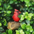 thumbnail image 2 of POINTERTECK Tree Decorations Outdoor Decor Simulated Resin Bird Garden Sculpture Art Gift For Lawn Tree Decorations, 2 of 6