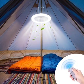 Coleman 40 Lumen LED Camp 4D Battery Lantern - Walmart.com