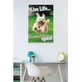 thumbnail image 2 of Avanti - Dog Joy Wall Poster, 22.375" x 34", Framed, 2 of 2