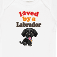thumbnail image 4 of Inktastic Labrador Retriever Dog Black Lab Boys or Girls Baby Bodysuit, 4 of 5