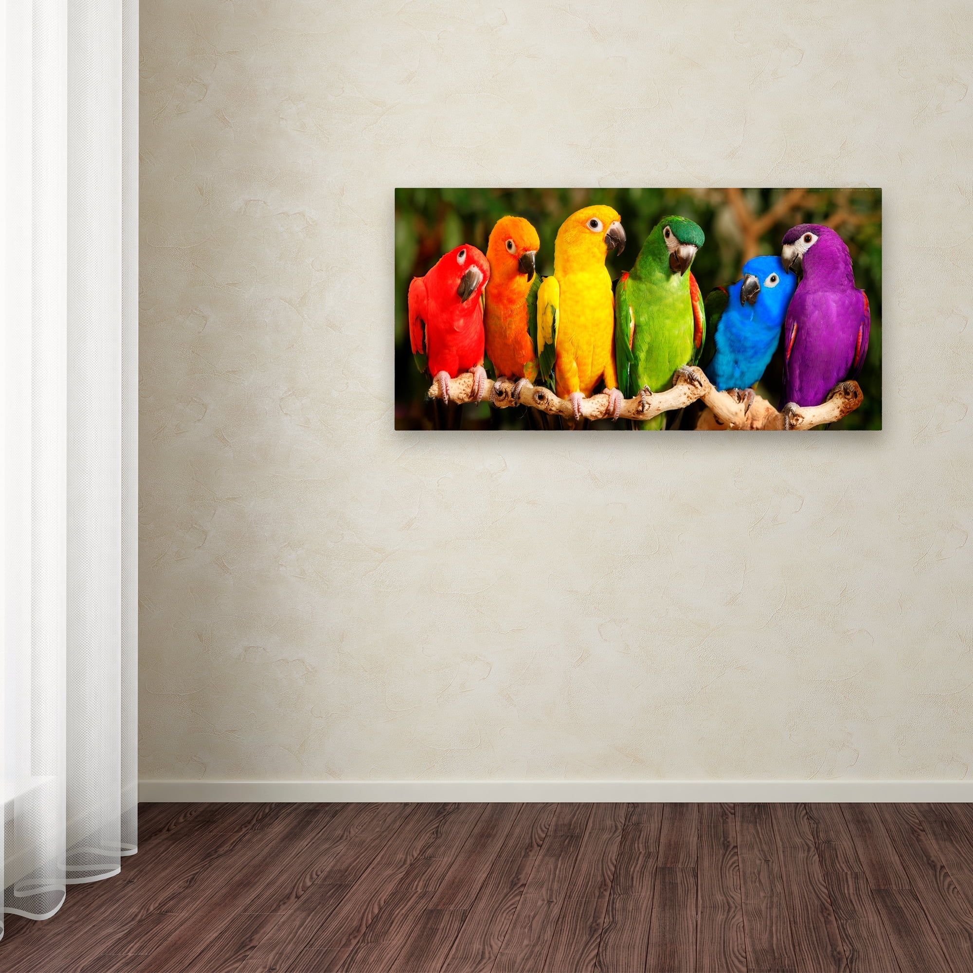 Trademark Fine Art Mike Jones Photo Rainbow Parrots Canvas Wall Art - 12x24