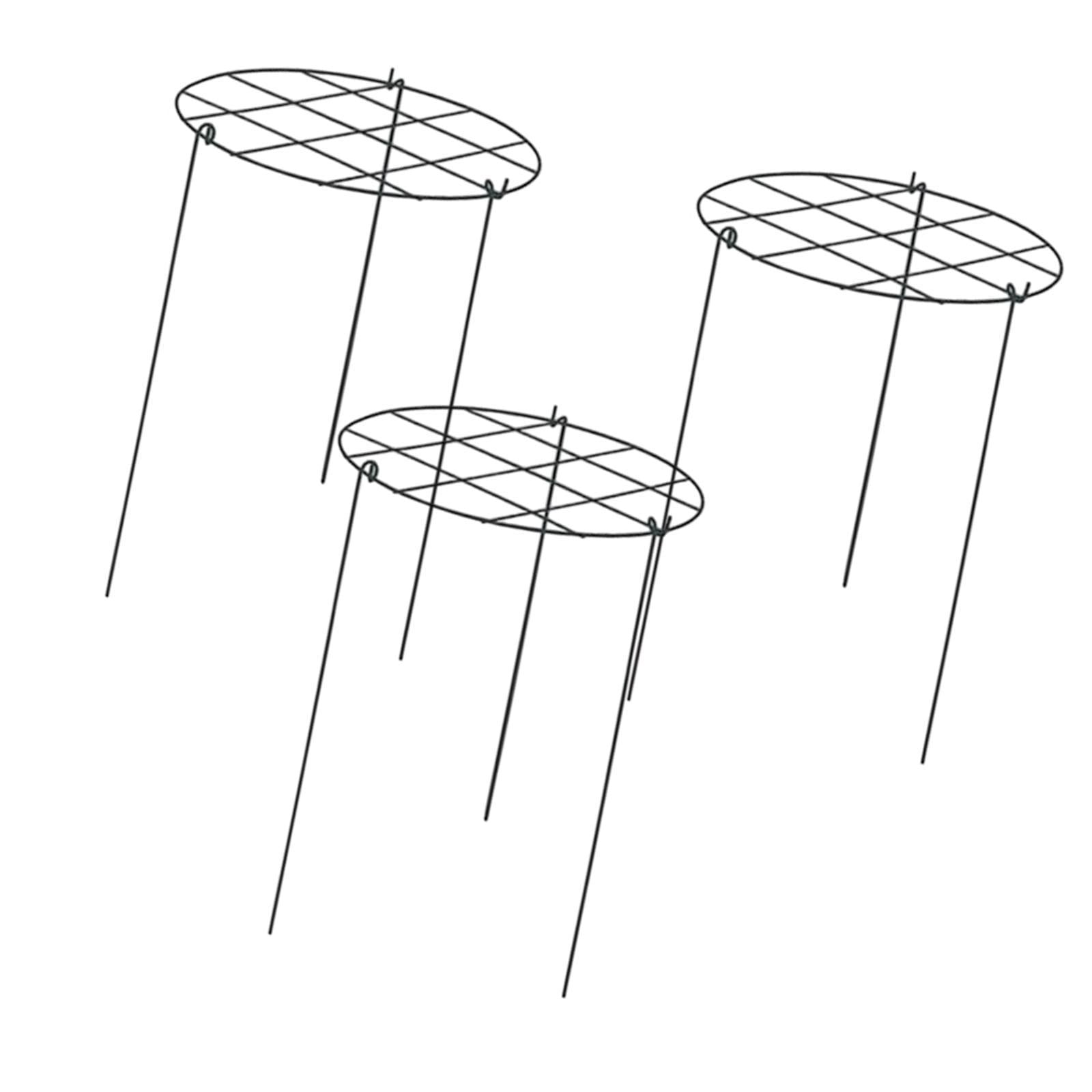 oshhni 3 Pieces Peony Cages and Supports Metal for Hydrangea Vegetables Tall Plants Grids