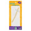 First Toothbrush