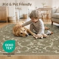 thumbnail image 4 of ODIKA 4'x6' Washable Area Rug Boho Ornamental Scroll Faded Center Distressed Border Vintage Flowing Dynamic for Dorm Room, Small Living Stain Resistant Low Profile, Easy Care, 4 of 7