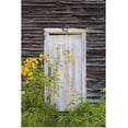 thumbnail image 1 of Great BIG Canvas | "Door To An Old Shed With Wildflowers Growing Outside; Iron Hill, Quebec, Canada" Art Print - 24x36, 1 of 4