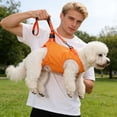 thumbnail image 6 of Sling Harness Adjustable Lifting for Disabled Elderly Dogs Cats Breathable Mesh with Padded Handle Rear End Mobility Assistance Rehabilitation Walking Belt, 6 of 8