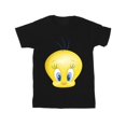 thumbnail image 1 of Looney Tunes Mens Tweety Face T-Shirt, 1 of 3