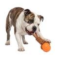 thumbnail image 3 of One Paw, Tug Rope & Ball Dog Toy, Tug of War, Orange, for Dogs, 3 of 6
