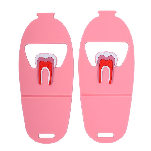 Portatarjetas para teléfono, 2 piezas con forma de dientes, soporte para tarjetas dentales con forma de dientes, aspecto llamativo
