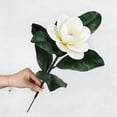 thumbnail image 2 of Artificial Magnolia Flower, 14.2 inch, Real Touch Magnolia Flowers, Artificial Realistic Magnolia Grandiflora for Home Décor, 2 of 6