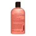 Philosophy Melon Daiquiri Shampoo, Shower Gel & Bubble Bath, 16 Fl Oz