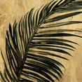 thumbnail image 2 of Jill, Susan 20x20 Gold Ornate Wood Framed with Double Matting Museum Art Print Titled - Lush Palm I, 2 of 4