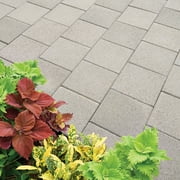 Pavestone 12 Square Pewter Concrete Stepping Stone