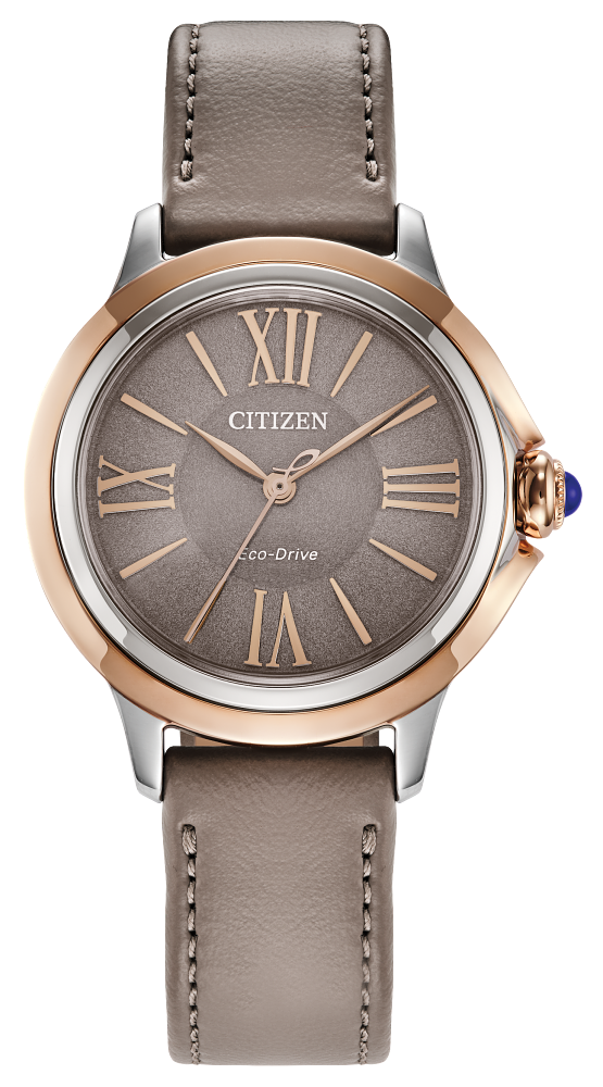 Citizen Promaster Dive Purple Dial Ladies Watch eo2027-50x