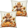 thumbnail image 1 of ASWZXCFGV Fall Throw Pillow Covers 18x18  Maple Leaf Pillow Covers Maple Forest Outdoor Pillow Covers Autumn Sunset Sunshine Pillow Case for Living Room Couch, 1 of 7