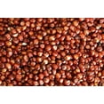 thumbnail image 2 of 1 LB Of Organic Milo - Red Sorghum Grain USDA Certified Organic, Non-GMO, Perfect For Mushroom Growers Or Bread Makers, 2 of 2