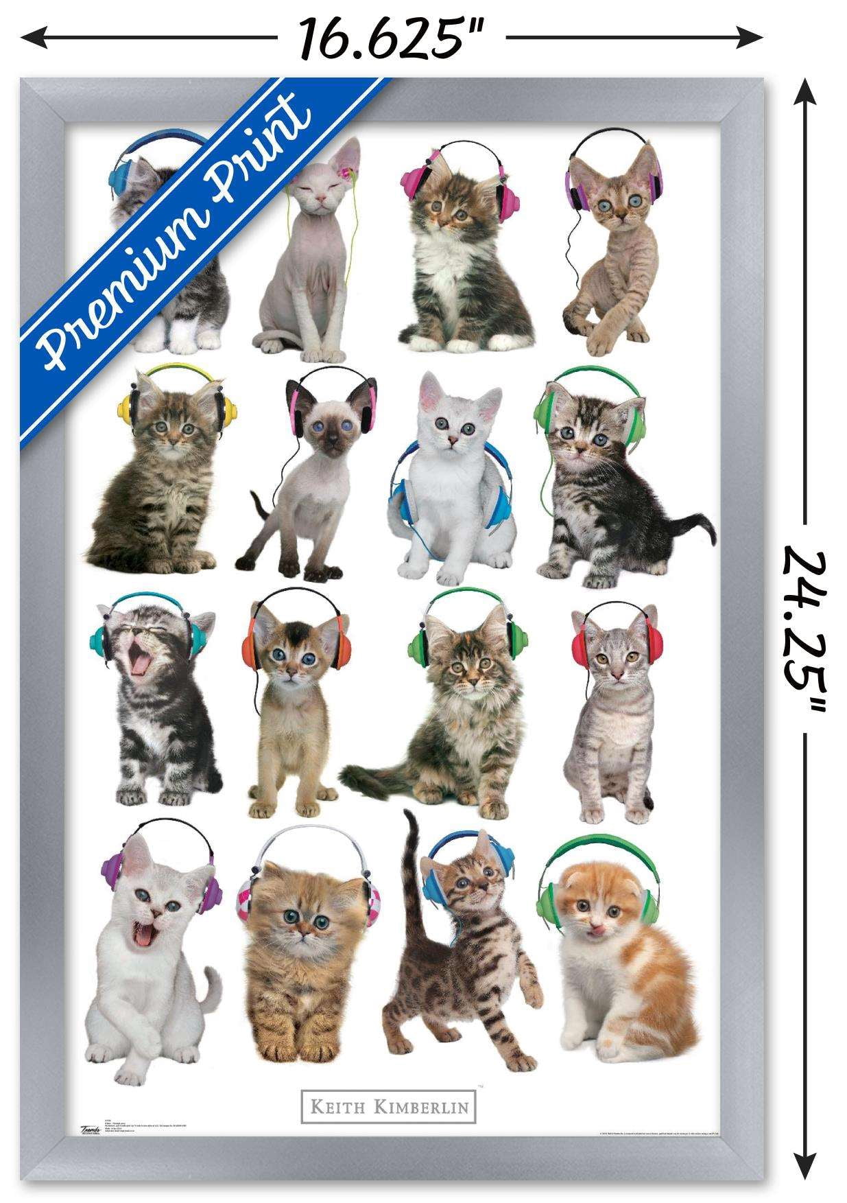 Keith Kimberlin - Kittens - Headphones Wall Poster, 14.725" x 22.375", Framed