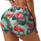 thumbnail image 1 of Balery Palm Leaves Flamingo Pantalones cortos de entrenamiento estampados para mujer, sin costuras, ajustados, para gimnasio, yoga, correr, deportes, ejercicio activo, fitness.-Large, 1 of 8