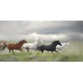 thumbnail image 2 of Murdock, Ramona 24x14 Gold Ornate Wood Framed with Double Matting Museum Art Print Titled - Mustang Herd I, 2 of 4