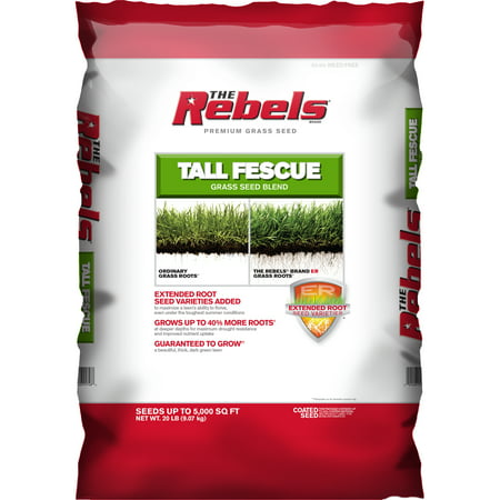 The Rebels Tall Fescue Grass Seed, 3 lbs