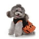 thumbnail image 4 of Methold Ropa de lana para mascotas, jersey para perro, suéter, traje pequeño para gato Yorkie, Chihuahua Ropa para mascotas once M, 4 of 6