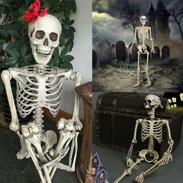 Halloween Party Supplies Life Size Human Skeleton Model, 5.5Ft Articulated Anatomical Skeleton For Medical Study, Classroom, Halloween Decor Halloween Decorations Perfect For Halloween Party