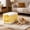 Yellow, variant on Foldable Pet Carrier Crate for Cats and Dogs, Travel Transport Kennel, Collapsible Plastic Design with Car Safety Straps, Portable Outdoor Airline Approved Traveler Box, Space Saving Home Storage