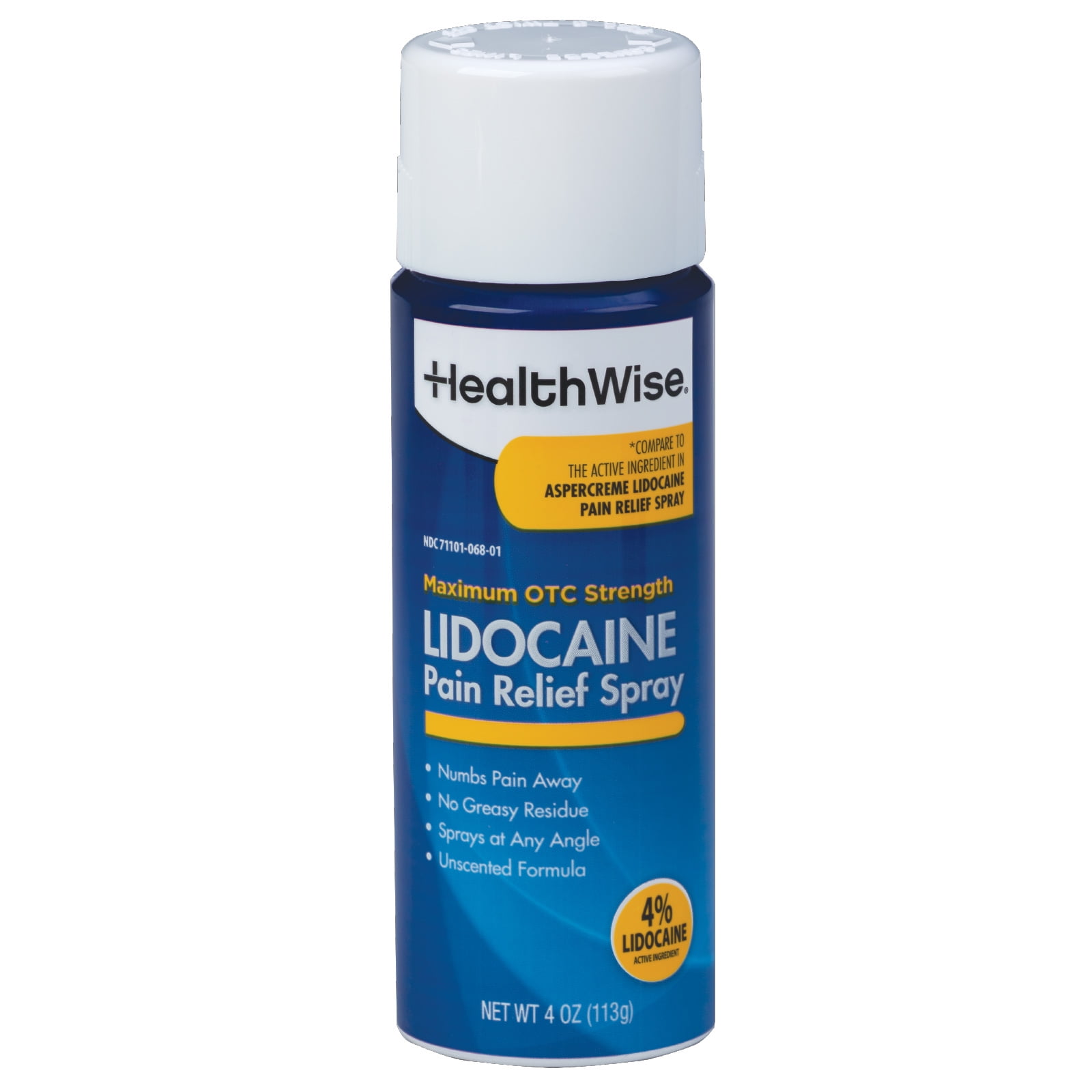HealthWise 4 % Lidocaine Pain Relief Spray | OTC Strength | 4 oz. 133 mL | Non-Greasy, Unscented | Immediate Penetrating Action | Sprays at Any Angle