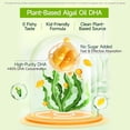 thumbnail image 7 of Biobor Omega 3 Gummies, Algal Oil DHA Gummies for Brain Eyes & Immunity Support, Lemon Orange, 7 of 7