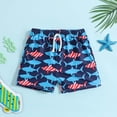 thumbnail image 2 of IFNWSV Boys Summer Shorts Print Drawstring Elastic Waist Quick Dry Nylon Beach Swim Pants Multicolor 3 Years, 2 of 7